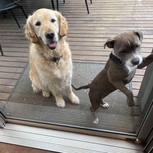 Meet your Posher, Libby